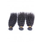 Natural Color Brazilian Curl Brazilian Virgin Human Hair Weave 3pcs Bundles