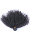 razilian Virgin Hair Afro Kinky Curly Lace Closure with 3pcs Weaves